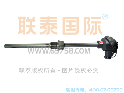 WZCN2-220/WZCN2-230 装配式双支耐磨热电阻 