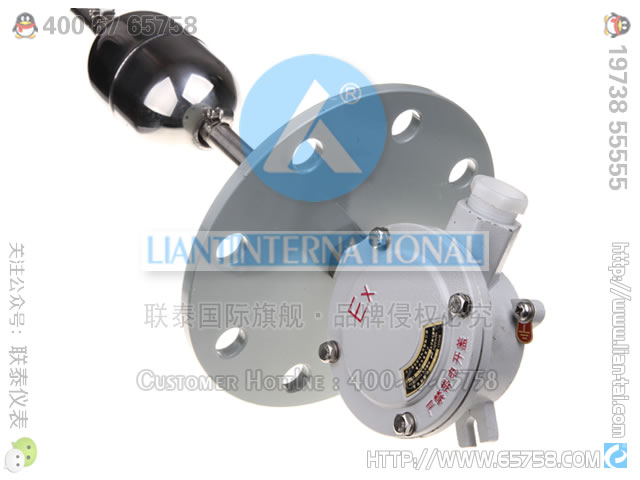 高温型浮球开关 隔爆接线盒浮球开关 液位控制器GSK-1A1B1C2A2B2C 